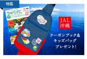 2022年最新】JAL(日本航空) コード | クーポンやプロモーションコード